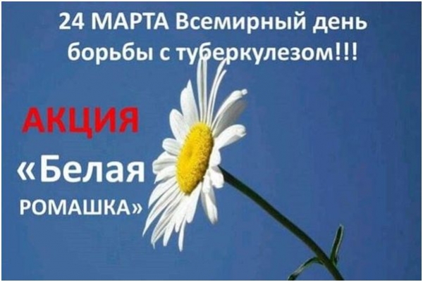 Акция против туберкулеза «Белая ромашка»